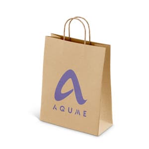 100 Sacs kraft