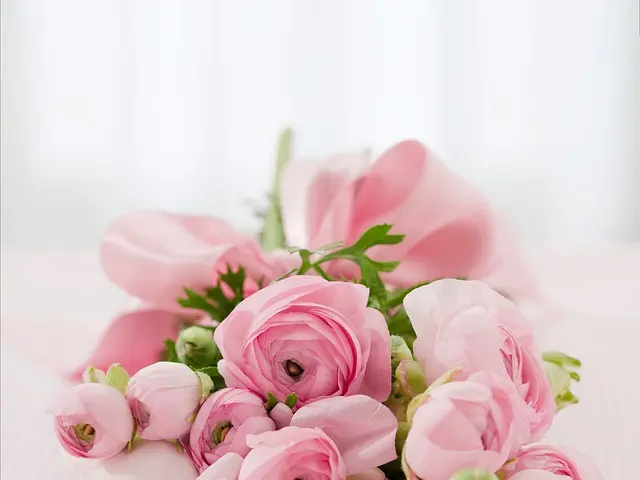 Les fleurs funéraires : comment bien choisir pour un hommage unique ?