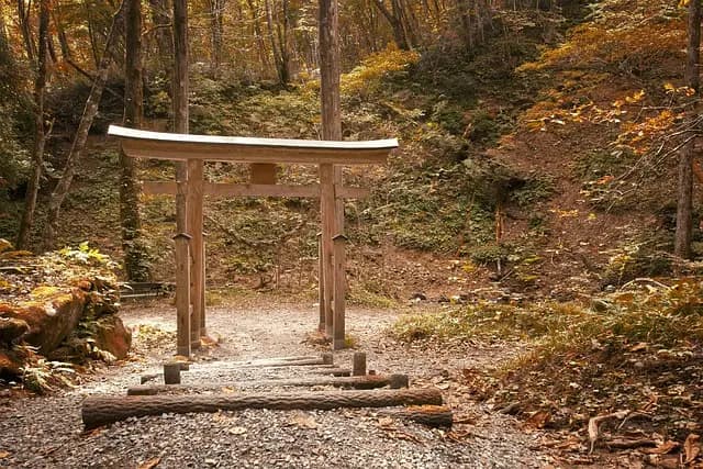 Les destinations populaires pour la dispersion des cendres