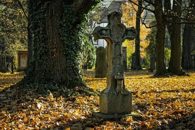 Les alternatives écologiques aux prestations funéraires traditionnelles