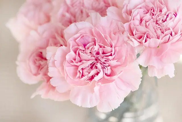 Comment choisir des fleurs pour des obsèques : guide complet