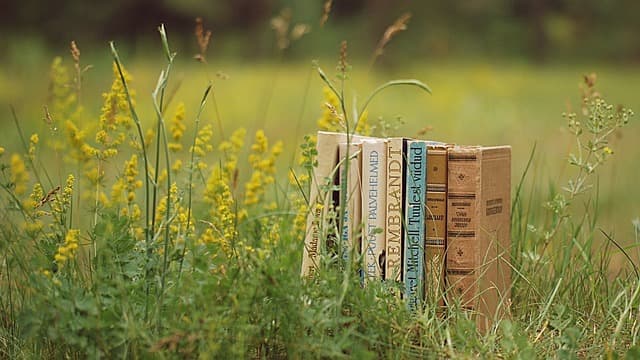 Les erreurs à éviter lors de l'organisation d'obsèques